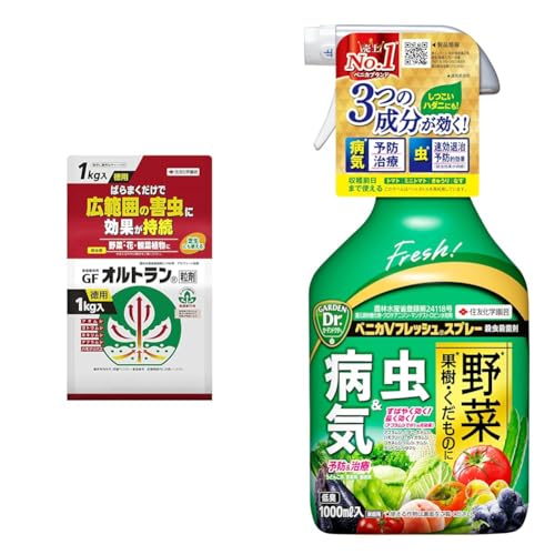 yZbgzZFw| E ƒ뉀|pGFIg 1kg+xjJVtbVXv[ 1000ml