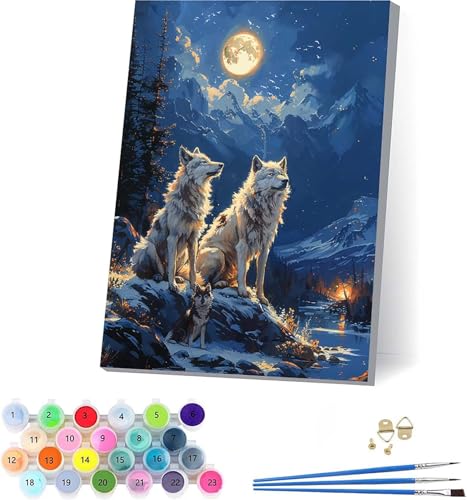 G T yCgoCio[ R DIY Paint by Numbers LbghG h G fW^G uVƃANG̋ l̂߂̃NGCeBuȎ z[ ItBX Mtg 30x40cm t[t H-33