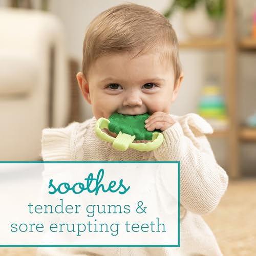 Image of Infantino Lil' Nibbles Textured Silicone Teether, BPA-Free Baby Teething Toy, Soft, Easy to Hold, Sensory Stimulation for Infants, Broccoli