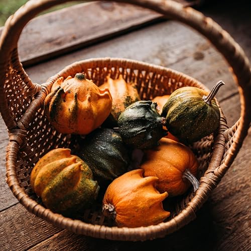 Thresh Seed Co. Crown of Thorns Gourd seeds