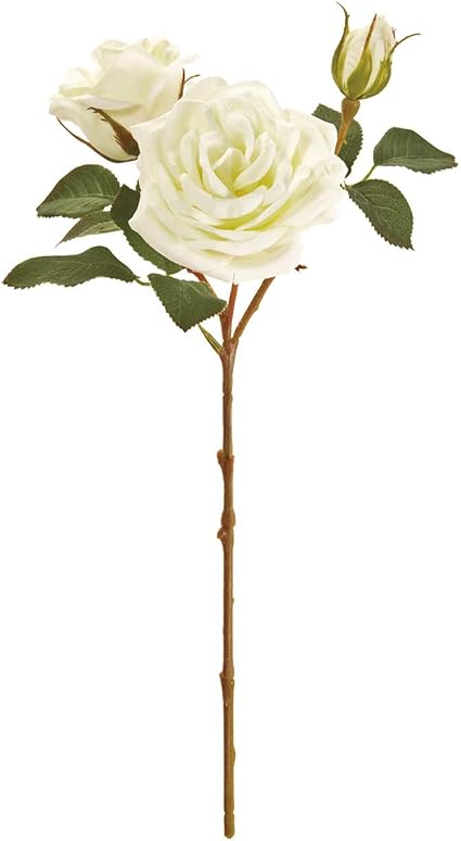 Amazon Co Jp 東京堂 造花 クリーム 花径 約3 10 全長 約42cm Magiqブランド アルテアローズ Fm 001 ホーム キッチン Amazon Co Jp 東京堂 造花 クリーム 花径 約3 10 全長 約42cm Magiqブランド アルテアローズ Fm 001 ホーム キッチン
