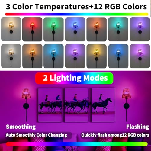 Image of Boho Battery Operated Wall Sconce Set of 2, Black Rattan Rechargeable Wall Lights with Dimmable Bulbs and Remote,15 Colors Wireless Wall Lamps for Bedroom Living Room Hallway Decor