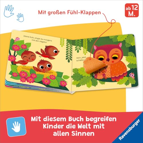 Wo bist du, kleine Eule?: Mit großen Fühl-Klappen