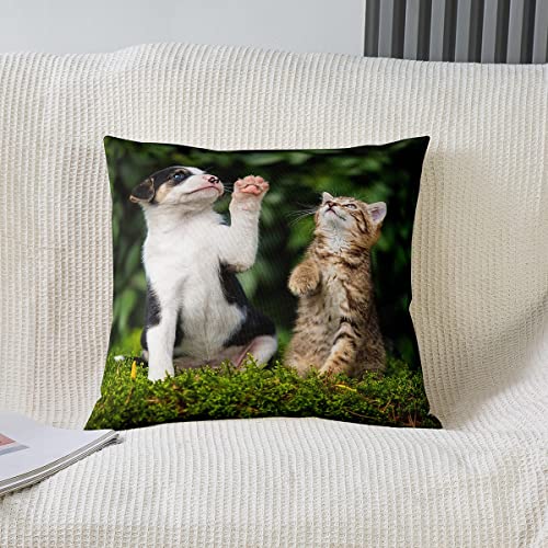Loussiesd Cat Throw Pillow Covers 18"x18" Set of 2 Pillow Cases Cushion Covers Soft Cats Print Pillow Cases Cushion Covers Puppy Dog Pattern Throw Pillowcases Animal Pet Decorative Throw Cushion Case - Image 2
