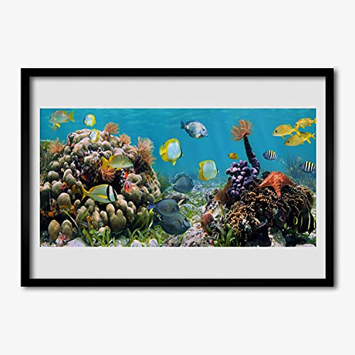 Photo image récif de corail encadrée pour habiller un grand mur vide
