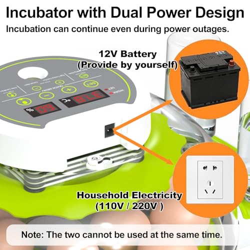 DEZHXHE Egg Incubators for Hatching Eggs with Temperature Control, Poultry Egg Incubator with Automatic Egg Turning and Humidity Display, Egg Candler Incubator for Chicken Duck Goose & Quail- Green - Image 5
