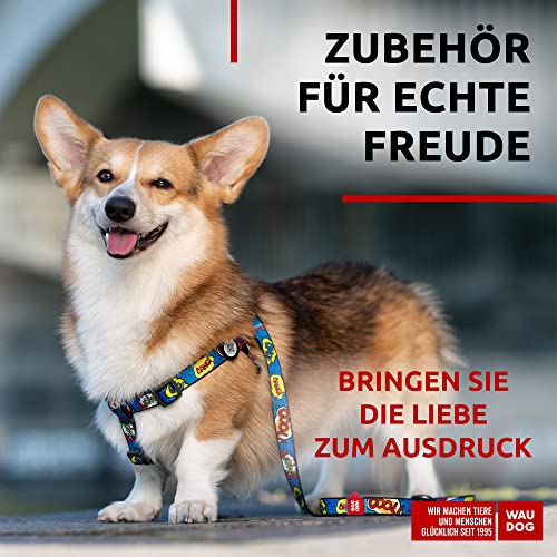 WAUDOG Nylon Hundeleine für Große, Mittelgroße und Kleinere Hunde, Welpen - Schleppleine