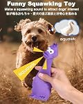 Squeaky Dog Toys, [2 Pack] Squawking Latex Toy with Interactive Squeaker, Squeak Rubber Duck Chicken for Medium Small Dogs
