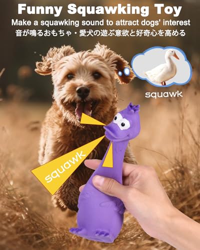 SCHITEC Brinquedos para cães Squeaky, [2 unidades] Brinquedo de látex gritando com squeaker interati