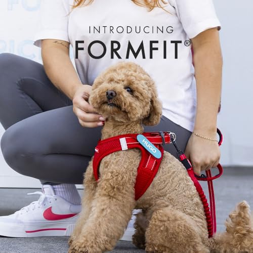 EzyDog Hundegeschirr kleine Hunde – FORMFIT Weste aus atmungsaktivem 3D Air-Mesh – Leicht, verstellbar, reflektierend, mit robustem D-Ring (S, Blau)
