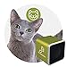 Pet Tunes Feline - Bluetooth Speaker with Preloaded Calming Music for Cats - Cat Stress Relief for Storms, Environment Changes & Nocturnal Activity - Relaxing Pet Music for Kittens & Cats - Green