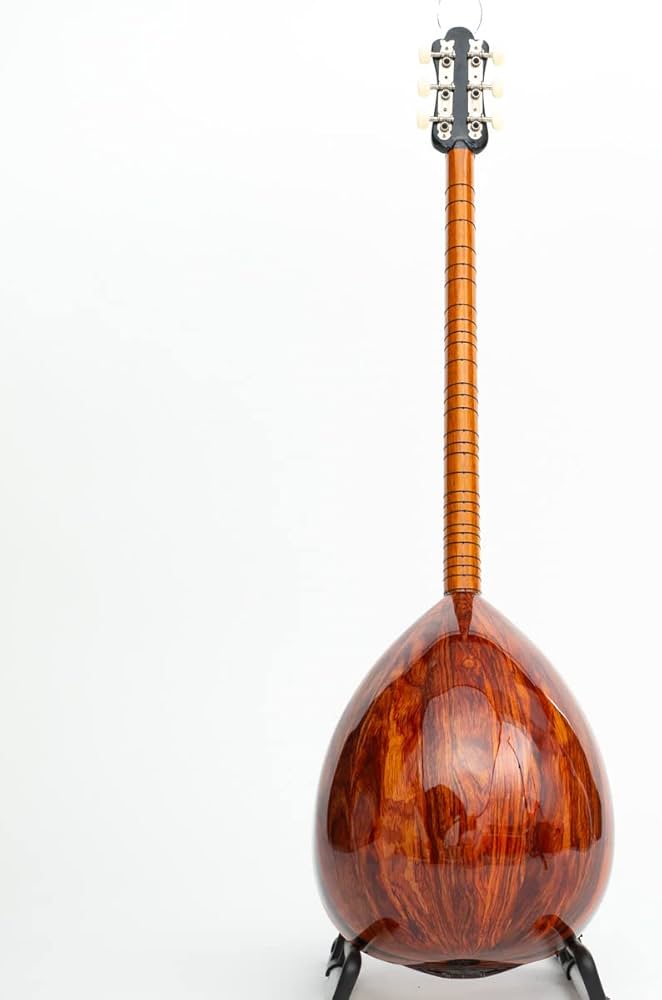 Qirgiz mushuk Qirgiz mushuk