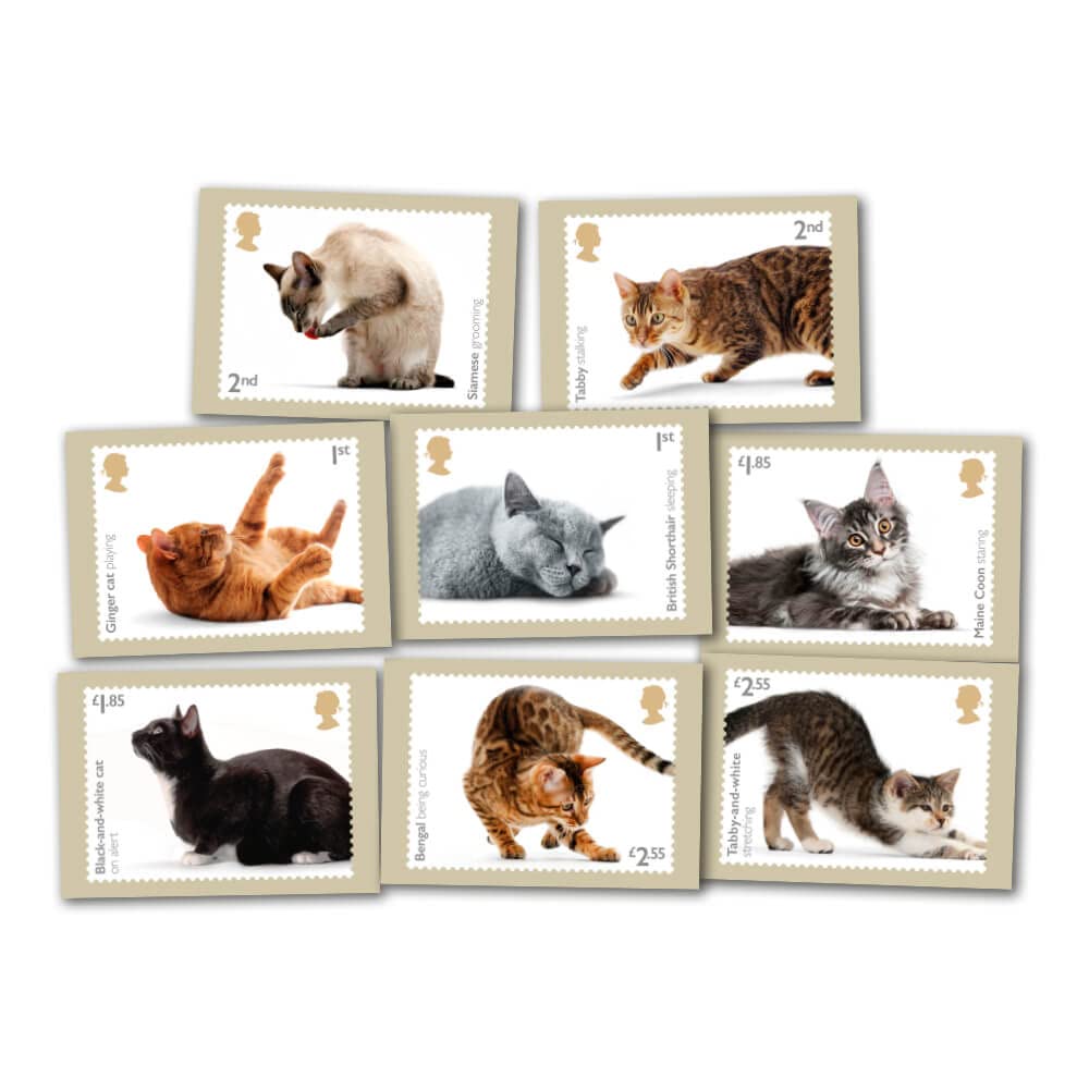 Buy Official Royal Mail Cats Stamps Produced in Enlarged Postcards from