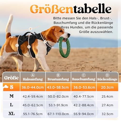 rabbitgoo Ausbruchsicheres Hundegeschirr Kleine Hunde mit Griff, Anti Zug Sicherheitsgeschirr Hund Atmungsaktiv, Verstellbare Brustgeschirr, Gepolstertem Hundeweste, Panikgeschirr, Schwarz S