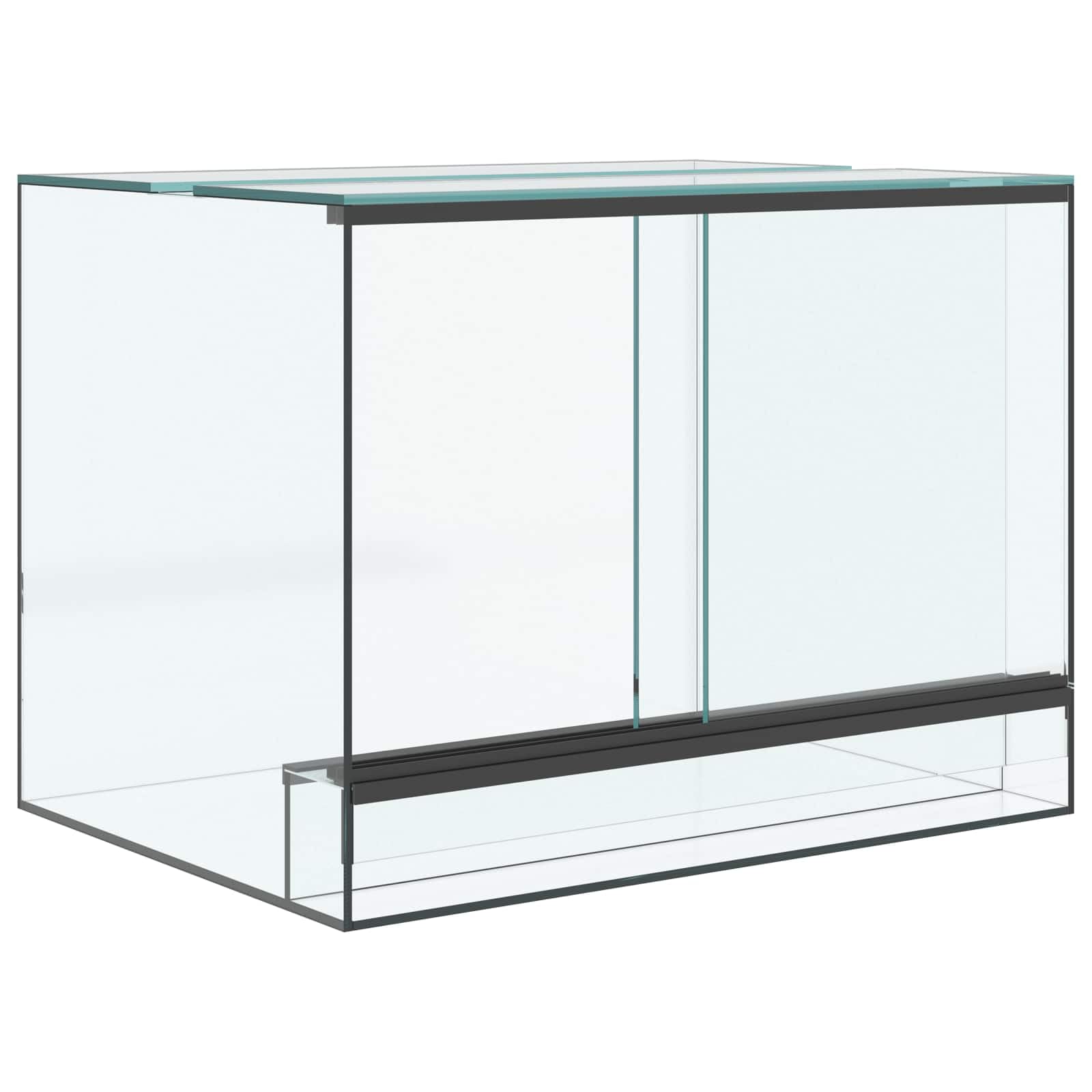 Generisch Terrarium mit Speicher Transparent 40 x 30 x 30 cm Glas,Tier- & Haustierbedarf,Haustierbedarf,Reptilien- & Amphibienbedarf,Terrarien-42020389