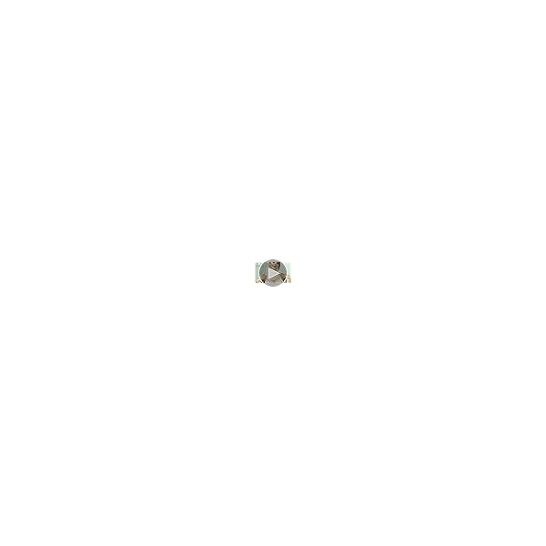 Taruna Biyani Imitation Pearl 8MM Bead Size Strand Necklace Moti Mala Jewellery Set with Earrings for Women Girls - Image 3