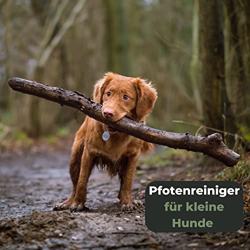 Grünschloss Hundebürste kurzhaar & Katzenbürste weiche Naturborsten - sanfte Tierbürste Holz mit Massage Effekt & Pfotenreiniger Hunde klein + Katzenbürste Pfote (Made in Germany) Bürste Katze Holz