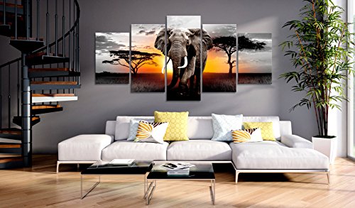 murando Schilderij op vlies canvas Afrika 200x100 cm XXL Print Wandschilderij 5 delen Foto Grafiek Fotografie Wanddecor - Landschap Dieren Olifant g-C-0054-b-o - Afbeelding 3