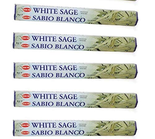 HEM White Sage 100 Incense Sticks (5 Packs of 20 Sticks) (Basic)