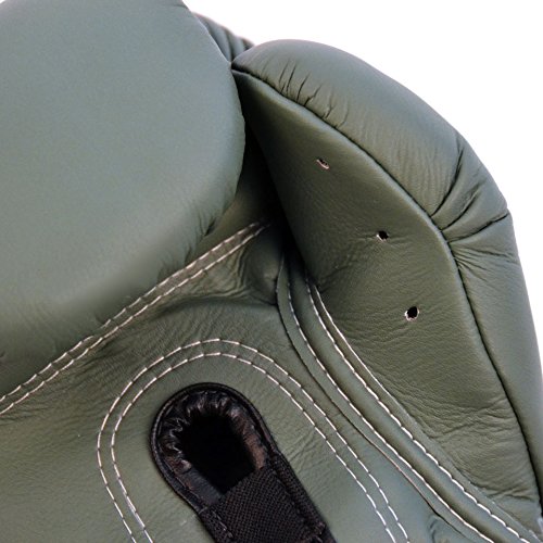 Amazon.co.jp: Fairtex bgv11 Fairtex F - Dayボクシンググローブ