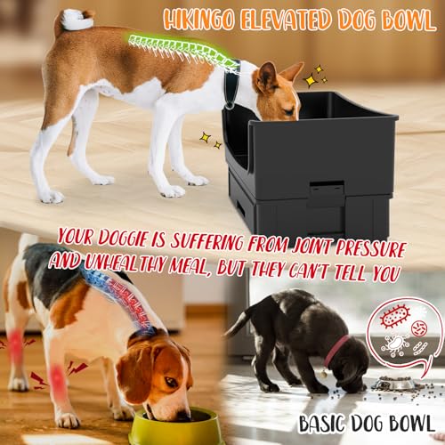 Mess Proof Raised Dog Bowls,Elevated Dog Bowl Stand Set 2 Stainless Steel Food Bowls,Splash Water Collection Non-Slip Medium Sized Feeding Table - Image 5