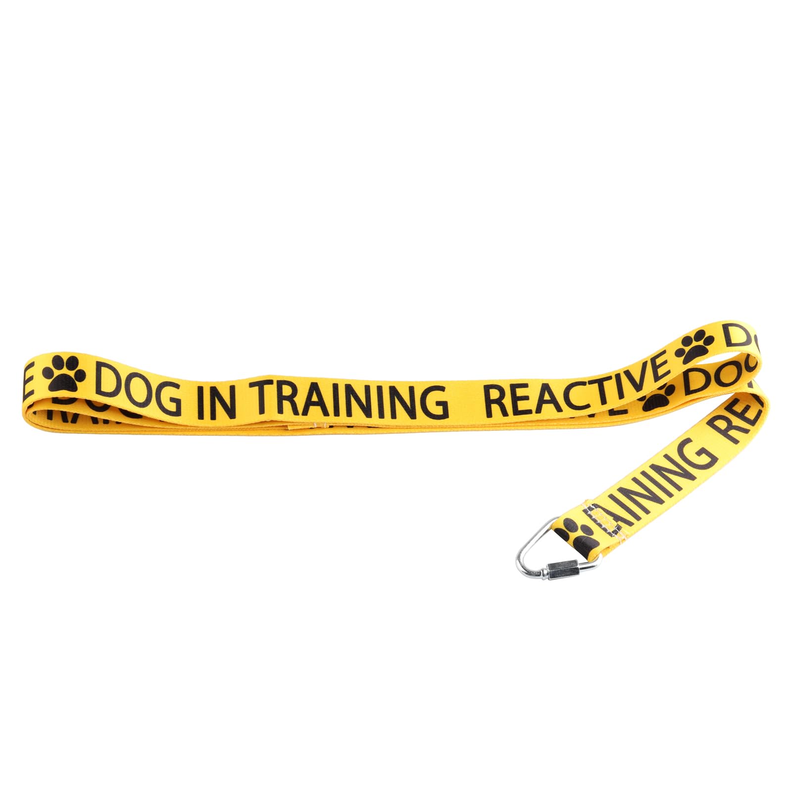 The Best Leash for Aggressive Dog Behavior My Top Picks 2024 We Love