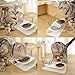 Futternäpfe Katzen Futter,15 ° Kippbare katzennäpfe Doppelter Futternäpfe Katzenfutter Transparente Katzenfutterschale Futternapf Katze Katzennäpfe für Katze Welpe Futter und Wasser