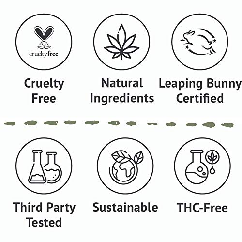 Hemp Daily Intensive Cream | Hemp Cream With Essential Oils | Vegan, Organic Ingredients | 1.7 Ounces (Lavender, Single) #TOP6