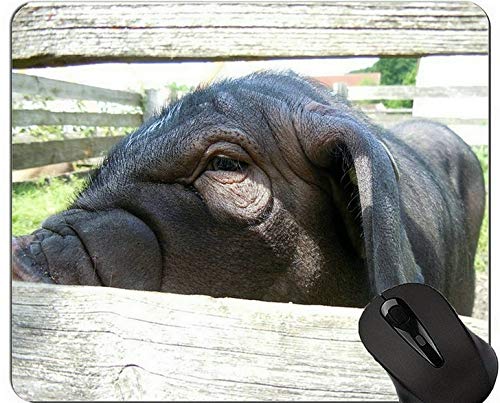 YENDOSTEEN Animal Art Mousepad, Chinese Pig Mask Año Nuevo de Pig Gaming Mouse Pad