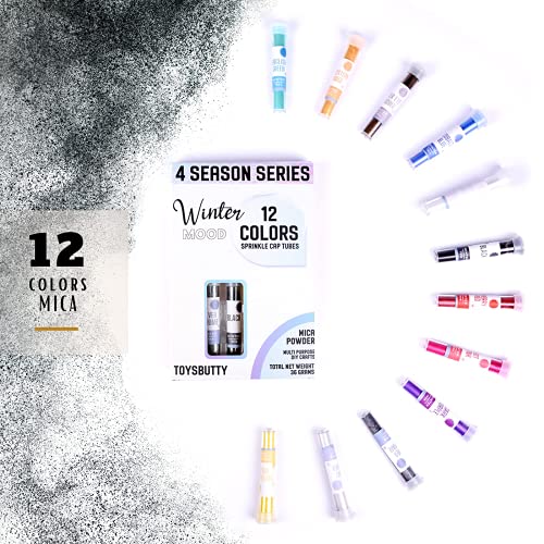 ToysButty 12 Farben Mica Pulver Kit für Epoxidharz-Pigmentset Seifenfarben, blumige Farben in Tuben aufbewahrt, Make Up, Lipgloss, Badebomben, Kunstharzfarbstoff Winter der 4-Jahreszeiten-Kollektion