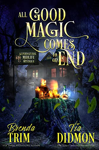 Book cover for All Good Magic Comes to an End