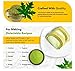 GREEN NECTAR Papaya Leaves Powder 454g (1lb / 16 oz) | Carica Papaya