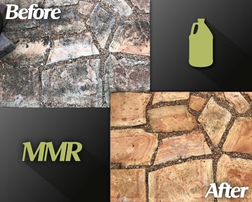 bad axe mmr instant mold stain and mildew stain remover - professional strength contractor grade cleaning solution professional quality formula odor removal 1 gallon 1