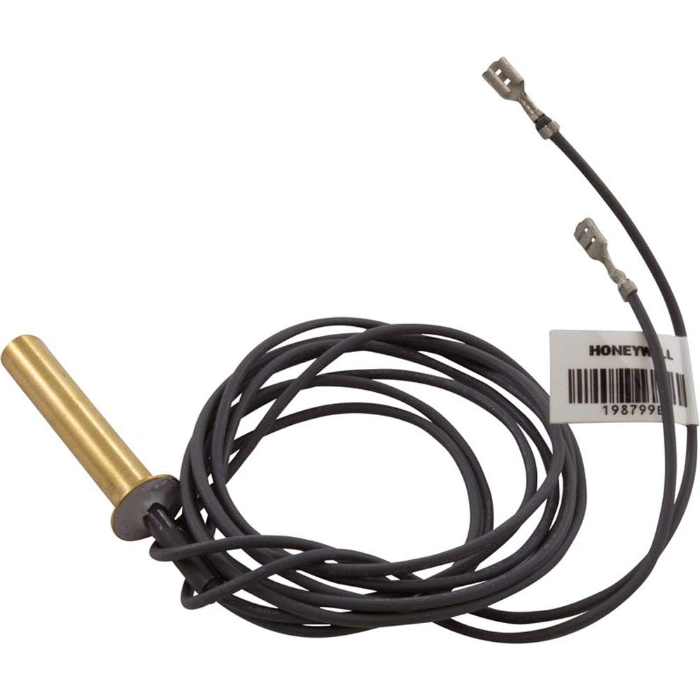Amazon.com : Pentair 471740 Complete Millivolt Thermistor Probe