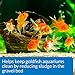API GOLDFISH AQUARIUM CLEANER Aquarium Cleaner 4-Ounce Bottle