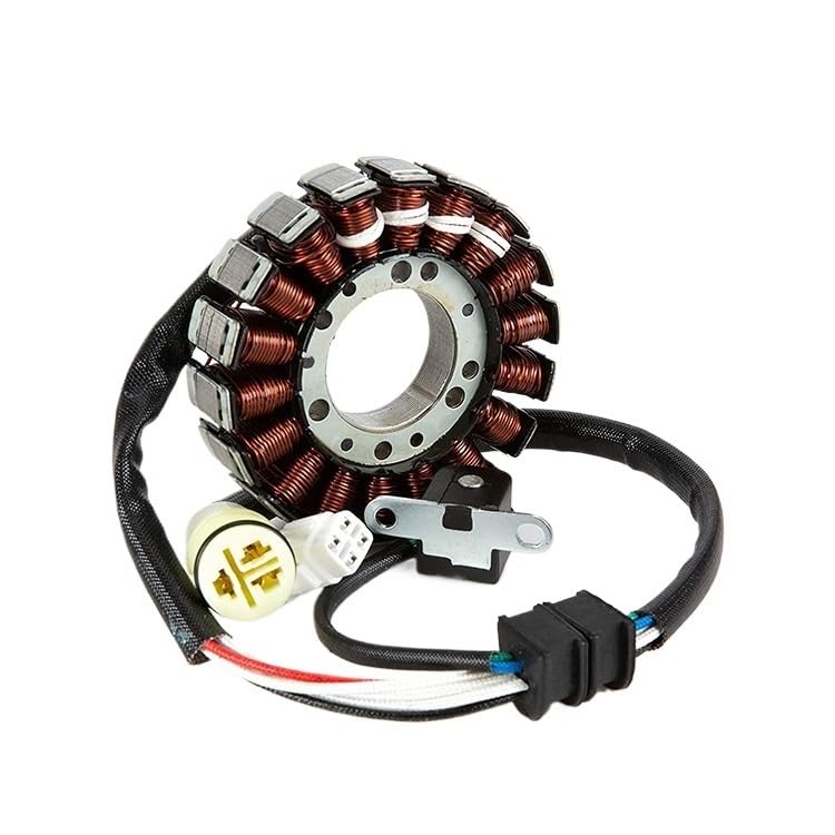 Bobine de stator de magnéto pour YFM660 YFM250 5LP-81410-01-00 alternateur quad