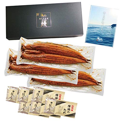 【６,９８９円～】尾数で選ぶ！２～１０尾　鹿児島うなぎセット　美味しい食べ方ブック付き　　特大サイズ210g　国産 鰻　お取り寄せ 蒲焼き 丑の日 鹿児島 高級 １位 特賞　 鹿児島県産 ((b) ３尾)