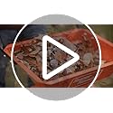SuperHandy Wood Chipper Shredder Mulcher Ultra Heavy Duty 7HP 3 in 1 Multi-Function 3" Inch Max Capacity (Amazon Exclusive)