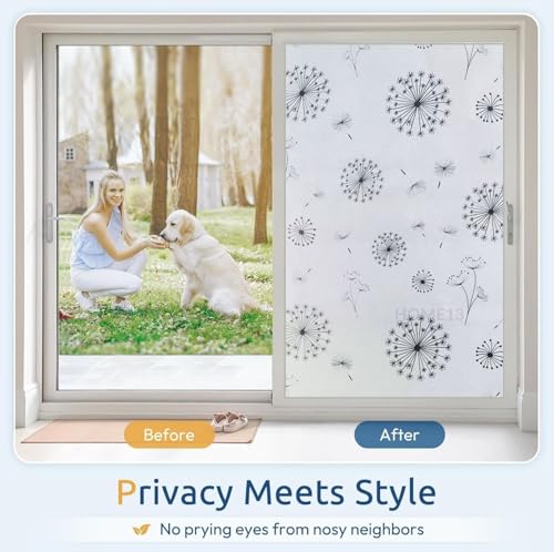 Image of HOME13 Window Privacy Film Frosted Glass Film Decorative Window Sticker Removable Window Film Home Office Privacy Film Window Coverings (White Snow, 1 Feet by 6 Feet)