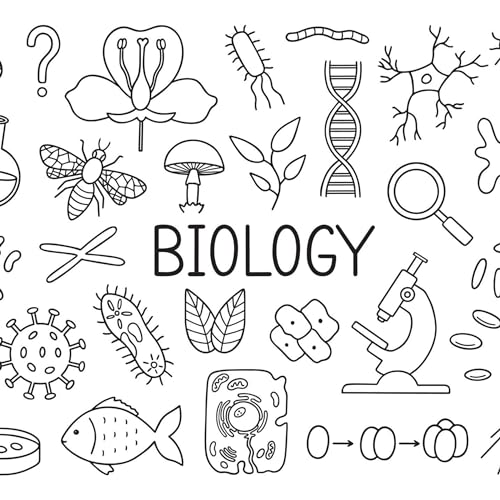 Couverture de بیوم ۰۰