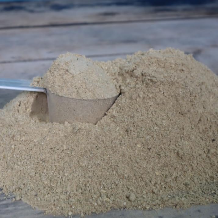 Lexa - Gastro Akut Dose 1 kg - Ergänzungsfuttermittel für magenempfindliche Pferde