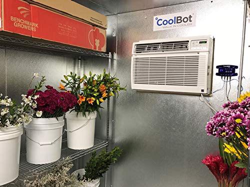 Walk in freezer cold room large