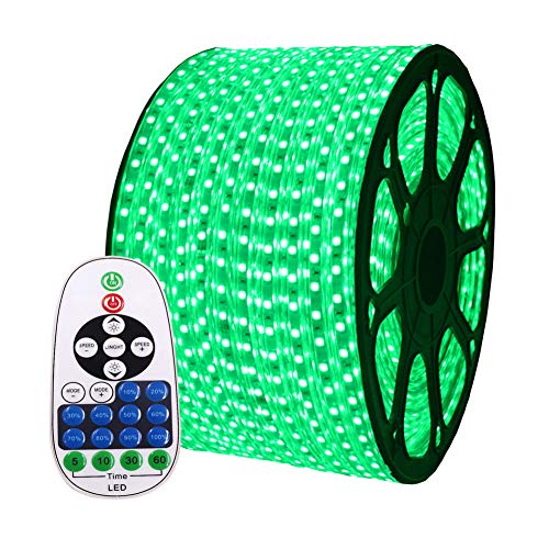 XUNATA 328ft Flexible LED Strip Lights, AC 110-120V 60 LEDs/M Dimmable Waterproof SMD 5050 LED Rope Light with Remote Controller for Party Home Decoration (Green)