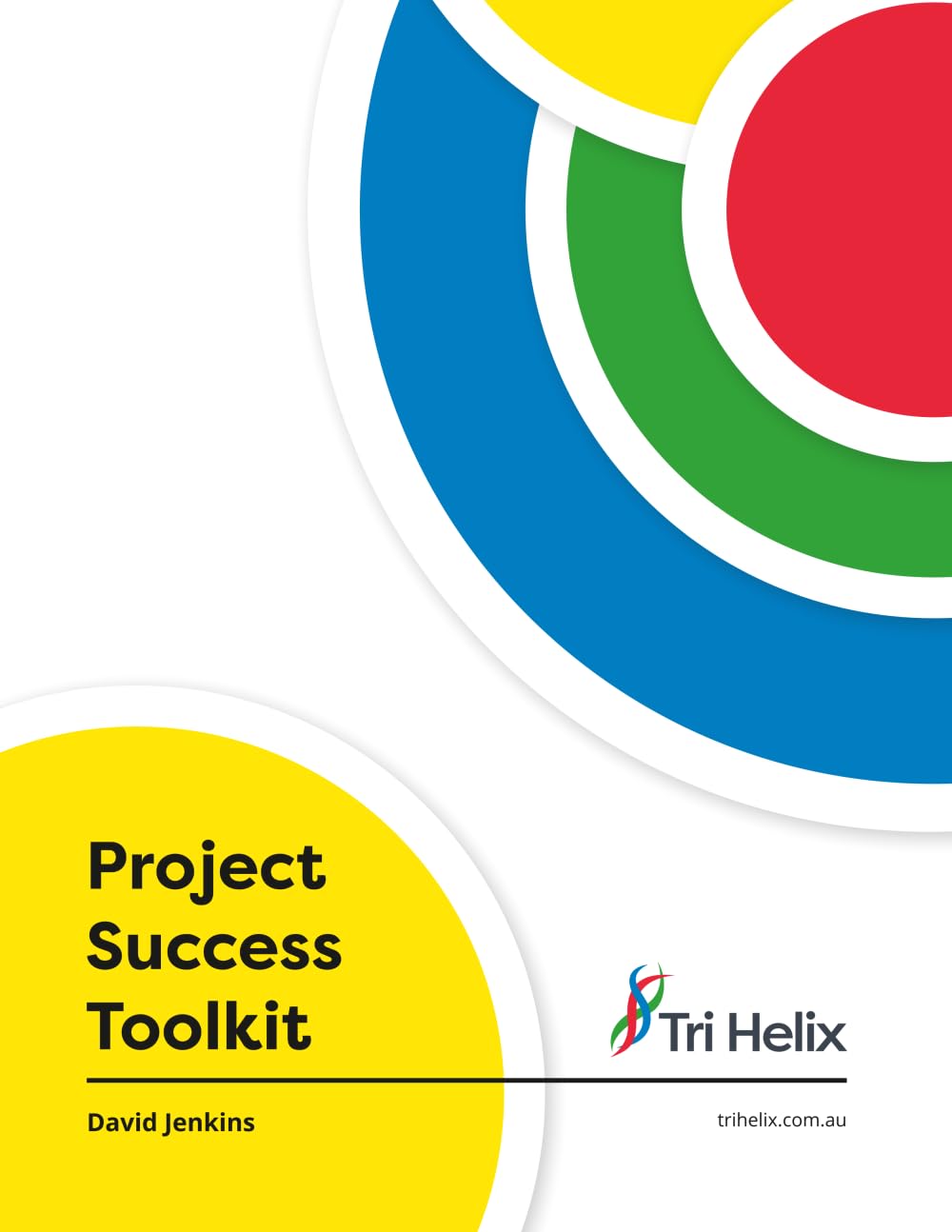 Project Success Toolkit: Build a platform and propel your team (Project Success through Leadership series)