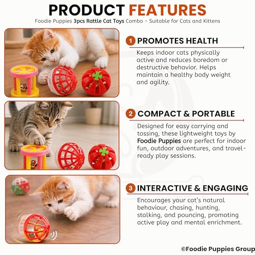 Image of Foodie Puppies Interactive Cat Rattle Toy Combo - (3 Pcs Set) | Rolling Bell Toys for Cats, Kittens & Small Pets | Durable, Lightweight, Safe Plastic, Engaging Indoor Play Toy for Exercise & Fun