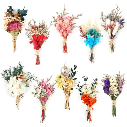 Songjum 10Pcs Mini Dried Flower Bouquet Colourful Natural Boho Dried Flowers Set Mini Natural Real Plants for Wedding Table Centerpieces Gift Box Cake Bottle Decor Home Vase Decorations DIY Craft