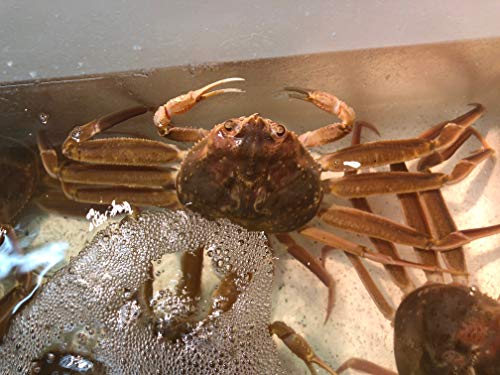 ō 劈ZRKjQt@Kj RbyKj ZCRKj YCKjX   s TCY y劈ZRKjQz① LFڗÏi