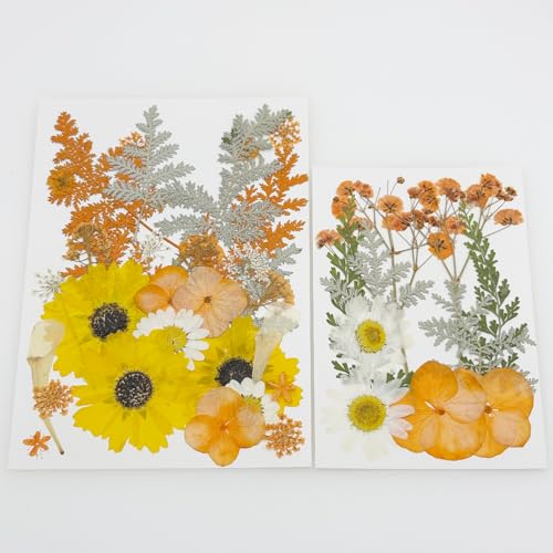 Cayway 40 PCS Dried Pressed Flower - Image 4