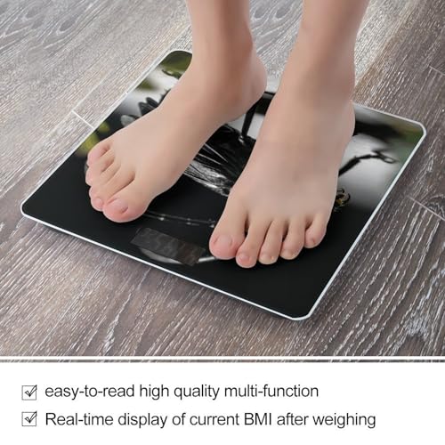 Balanza Digital de Baño RLDOBOFE con Pantalla LED miniatura 5