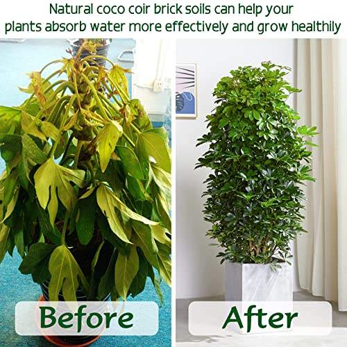 ZeeDix-10-Pcs-Premium-Coco-Coir-Bricks-Compressed-Coconut-Coir-for-Plants-100-Organic-Coco-Coir-Fiber-Potting-Soil-with-Low-EC-and-pH-Balance-for-Planting-Gardening-Herbs-Reptiles